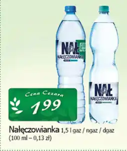 Cezar Delikatesy Nałęczowianka oferta