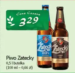 Cezar Delikatesy Piwo Zatecky oferta