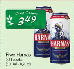 Cezar Delikatesy Piwo harnaś oferta