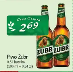 Cezar Delikatesy Piwo Żubr oferta