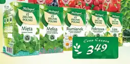 Cezar Delikatesy Herbapol zielnik polski oferta