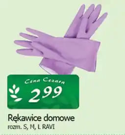Cezar Delikatesy Rękawice domowe rozm. s, m, l ravi oferta
