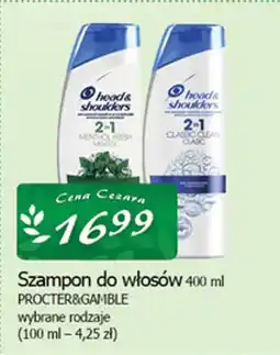 Cezar Delikatesy Szampon do włosów procter&gamble oferta