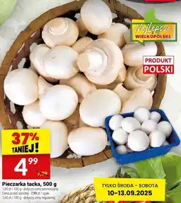 Twój Market Pieczarka tacka Twój Market oferta