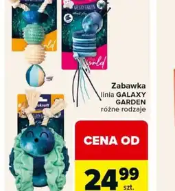 Carrefour Galaxy Garden Zabawka dla psa oferta