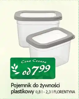 Cezar Delikatesy Pojemnik do żywności plastikowy florentyna oferta