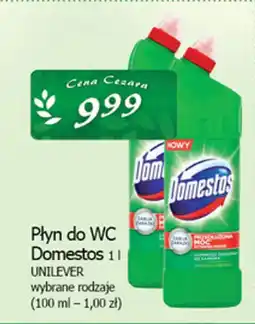 Cezar Delikatesy Płyn do wc domestos unilever oferta