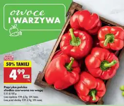 Biedronka Papryka polska słodka czerwona na wagę oferta