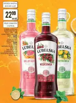 Dino LUBELSKA oferta