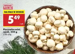 Biedronka Pieczarka mini opak . 250 g oferta