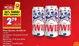 Biedronka Piwo Żywiec 6x500 ml oferta