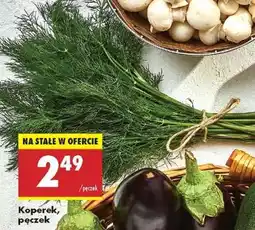 Biedronka Koperek pęczek oferta