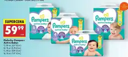 Biedronka Pieluchy Pampers active baby oferta