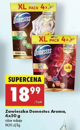 Biedronka Zawieszka Domestos Aroma, 4x50 g oferta