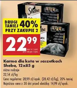 Biedronka Karma dla kota w saszetkach Sheba, 12x85 g oferta