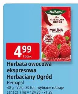 E.Leclerc Herbata owocowa ekspresowa Herbapol Ogród oferta