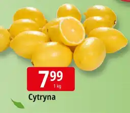 E.Leclerc Cytryna Leclerc oferta