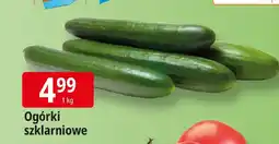 E.Leclerc Ogórki szklarniowe Leclerc oferta