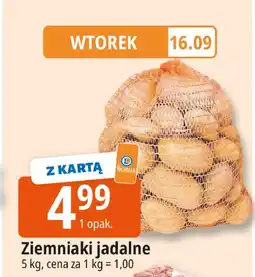 E.Leclerc Ziemniaki jadalne Leclerc oferta