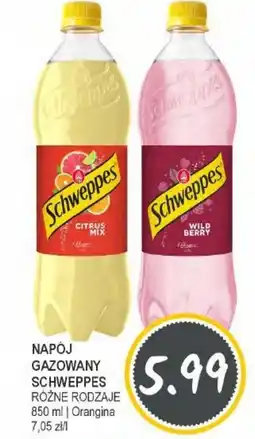 Słoneczko Napój gazowany schweppes Orangina oferta