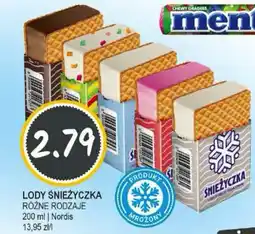 Słoneczko Lody śnieżyczka nordis oferta