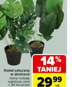 Carrefour Kwiat sztuczny w doniczce oferta