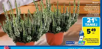 Carrefour Wrzos oferta