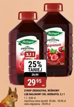 bi1 Syrop grenadyna, wiśniowy lub malinowy xxl herbapol oferta
