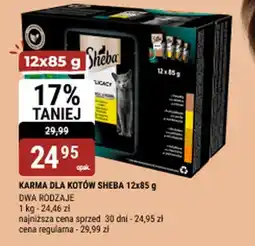 bi1 Karma dla kotów sheba oferta