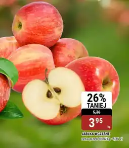 bi1 Jabłka wczesne oferta