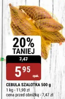 bi1 Cebula szalotka oferta