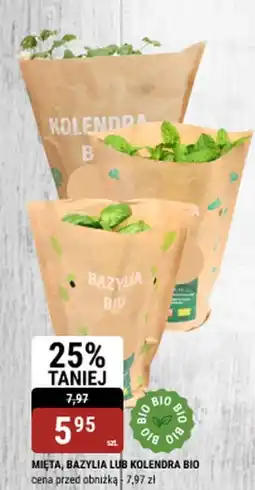 bi1 Mięta, bazylia lub kolendra bio oferta