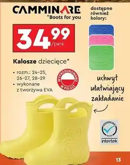 Biedronka Kalosze dziecięce 28-29 Camminare oferta