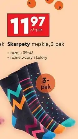 Biedronka Skarpetki męskie 39-45 Cleve oferta