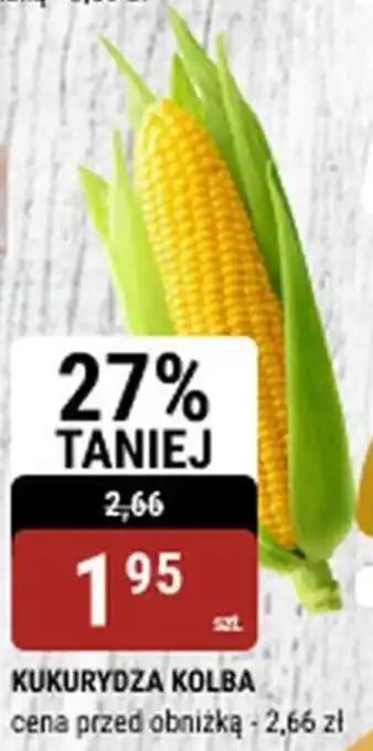 bi1 Kukurydza kolba oferta