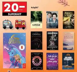 Biedronka Meghan quinn jak ja go nie cierpię oferta