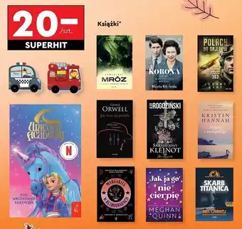 Biedronka Meghan quinn jak ja go nie cierpię oferta