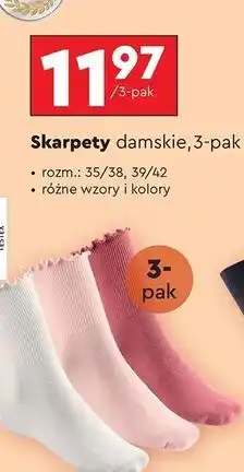 Biedronka Skarpet damskie 39-42 Cleve oferta