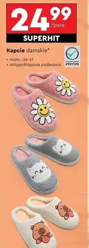 Biedronka Kapcie damski 36-41 Cleve oferta