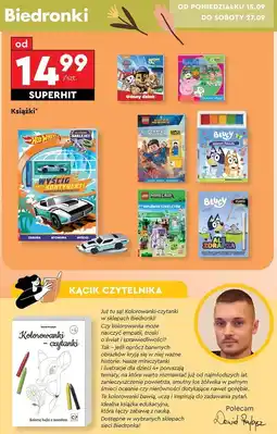 Biedronka Dawid przybysz - kolorowanki czytanki oferta