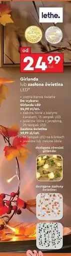 Biedronka Zasłona świetlna 66 led Lethe oferta