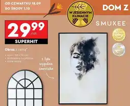 Biedronka Obraz z ramą 50 x 70 cm oferta