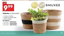 Biedronka Osłonka na doniczkę 21 cm Smukee oferta