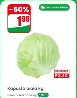 Dino Kapusta biała 1 kg Dino oferta