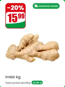 Dino Imbir 1 kg Dino oferta