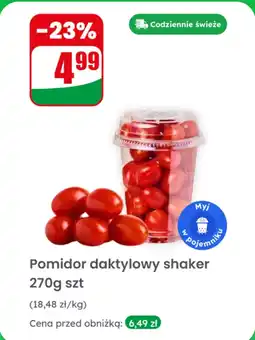 Dino Pomidor daktylowy shaker Dino oferta