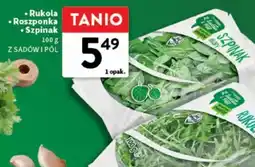 Intermarche Rukola/Roszponka/Szpinak oferta