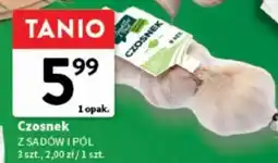 Intermarche Czosnek oferta