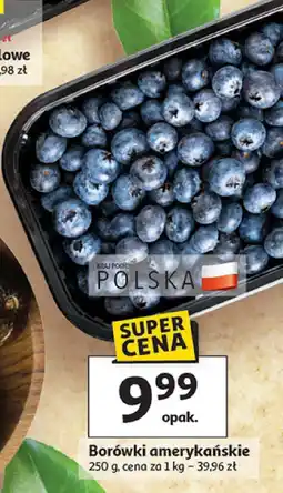 Auchan Borówki amerykańskie 250 g Auchan oferta
