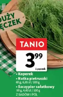 Intermarche Koperek/Natka pietruszki/Szczypior sałatkowy oferta